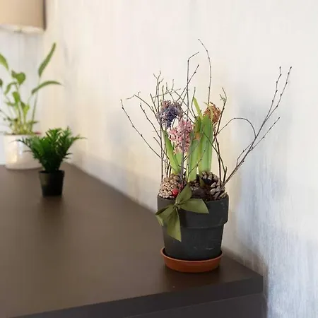 Casemi - Paracelso1 In Centro Apartment